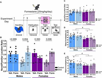 Sex-dependent effects of multiple acute concurrent stresses on memory: a role for hippocampal estrogens